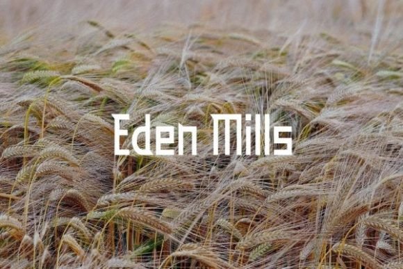 Eden Mills: A Modern Display Font for Digital Creativity