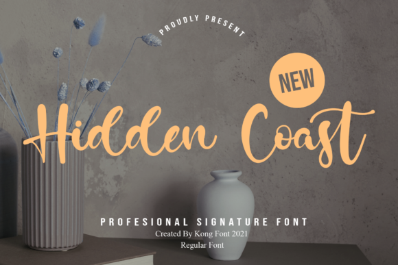 Hidden Coast: A Playful Script Font for Digital Creativity