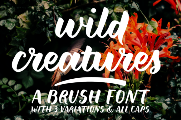 Wild Creatures Font for Bold Modern Design